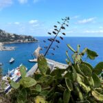 Private sightseeing tours in Nice